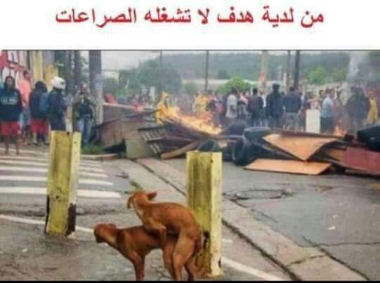 22xBluewolf's tweet photo. @HadilAalim__ بنات السعوديه تاج راسك انتي الماكله منهم. م تاج راسنا نحن
كسره ��لصوره دي انا وانتي لمن تجي القياده😥 https://t.co/WecyMG2PEq