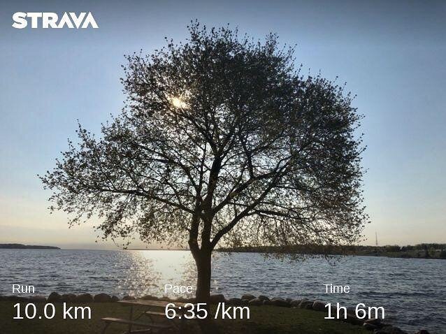attherockshow's tweet photo. #longrunsunday Beautiful and #slowrun this morning. Trying hard to stay #zone2 and building up my base for the next #trainingseason #happylongweekend my fellow #canucks #instarunners #instarunner #run #running #fitness #training #workout #plants #plantfueled #plantpowered #p… https://t.co/EYNbWaVXtb
