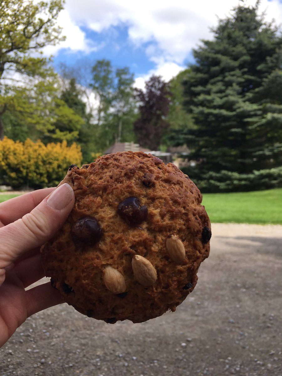 Design_York's tweet photo. Brilliant day doing Bettys Fat Rascal charity Bike Ride. I did it! My 1st 83 miler! Must have been the Fat Rascals and Yorkshire tea.
Thank you everyone at @Bettys1919 @YorkshireTea
They raised £7k!
#RascalRide #YorkshireCycling #cycling #bettysyork #bettysilkley https://t.co/O7GccZxfWQ