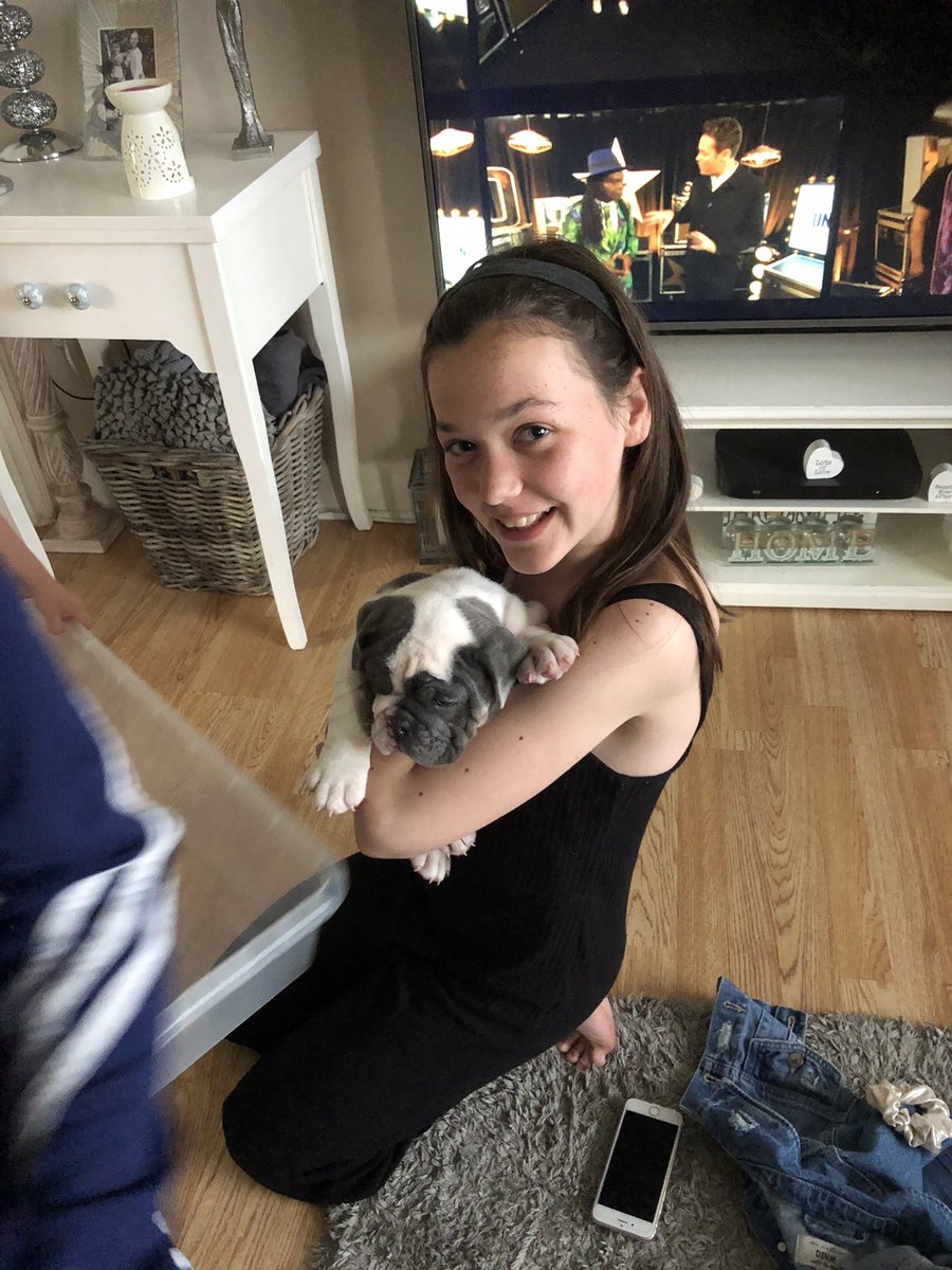 petsmith79's tweet photo. New member of the family!!! https://t.co/HMTXkUAoKA