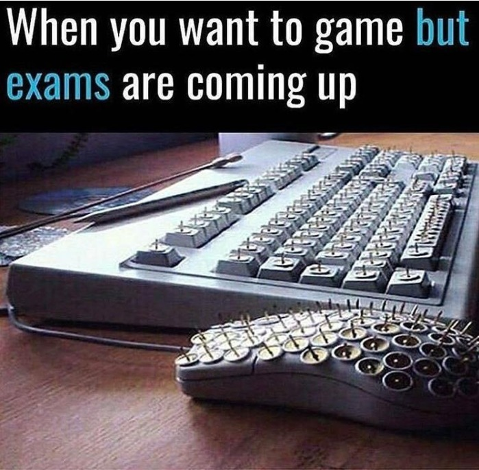 Reef - Get Paid to Play tweet media