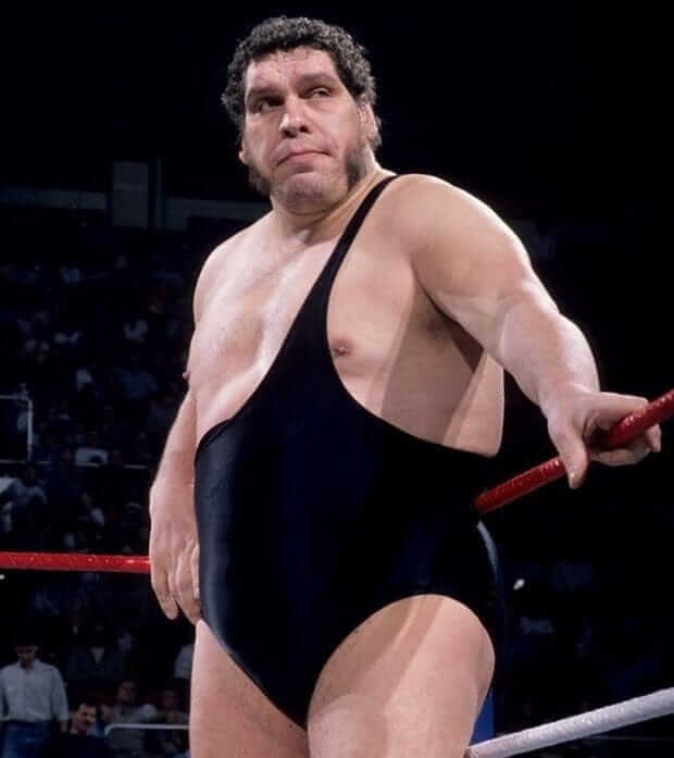  Happy Birthday to Andre The Giant. Rest in Peace Boss. 