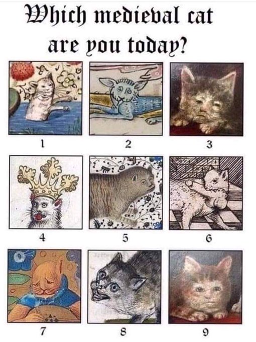 6 all day erryday #nomercy #meow #chonk #bbw #femdon https://t.co/k81zBbT3FU<a href="/tag/nomercy"class="tags">#nomercy</a><a href="/tag/meow"class="tags">#meow</a><a href="/tag/chonk"class="tags">#chonk</a><a href="/tag/bbw"class="tags">#bbw</a><a href="/tag/femdon"class="tags">#femdon</a>