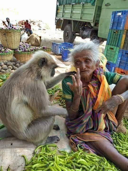 Pakkirmdjas1's tweet photo. #வாிகள் #இல்லாமல் #நெஞ்சை #வலிக்க வைக்கும் #படம்.....
#LokSabhaElections2019 
#ExitPoll2019 
#NGK 
#ExitPolls 
#ஏழை https://t.co/dksWWKs1RM