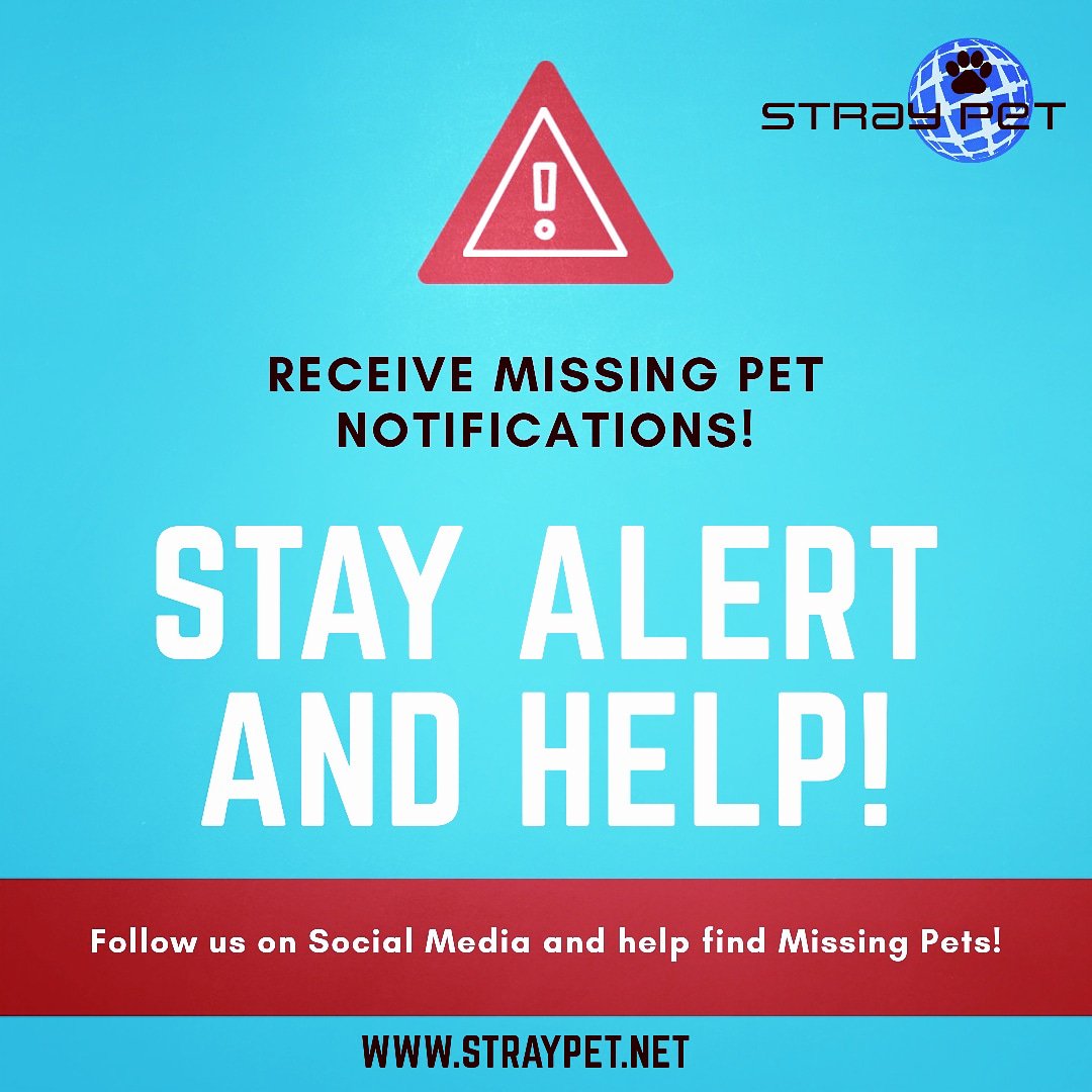 StraypetM's tweet image. Share with you friends so they can follow us also! Help find pets in your area! #straypet #follow #pets #helpfindpets