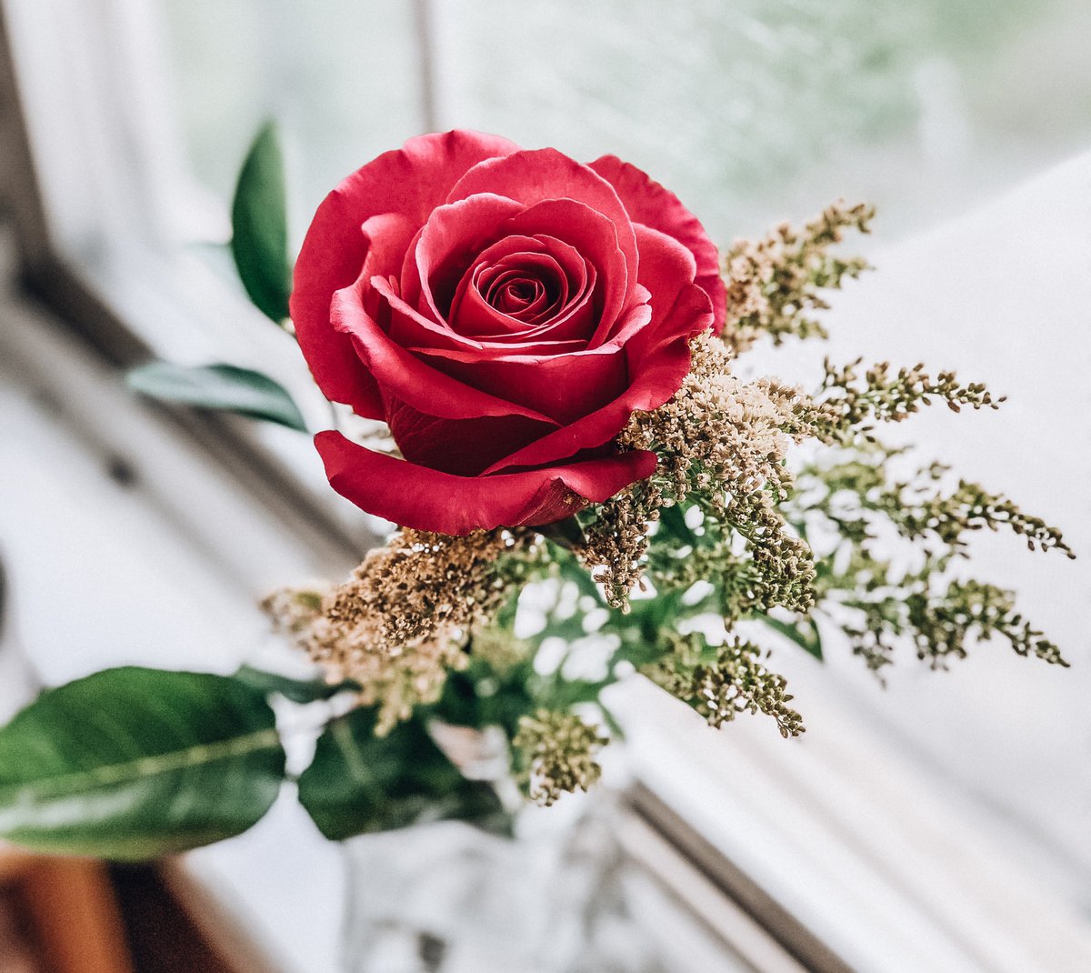 jenna_paskey's tweet image. They do exist ladies!! Good guys aren’t a made up thing!!! For me I had to turn the wrong direction in a bar and stumble into this one but it worked out for me I’d say ❤️