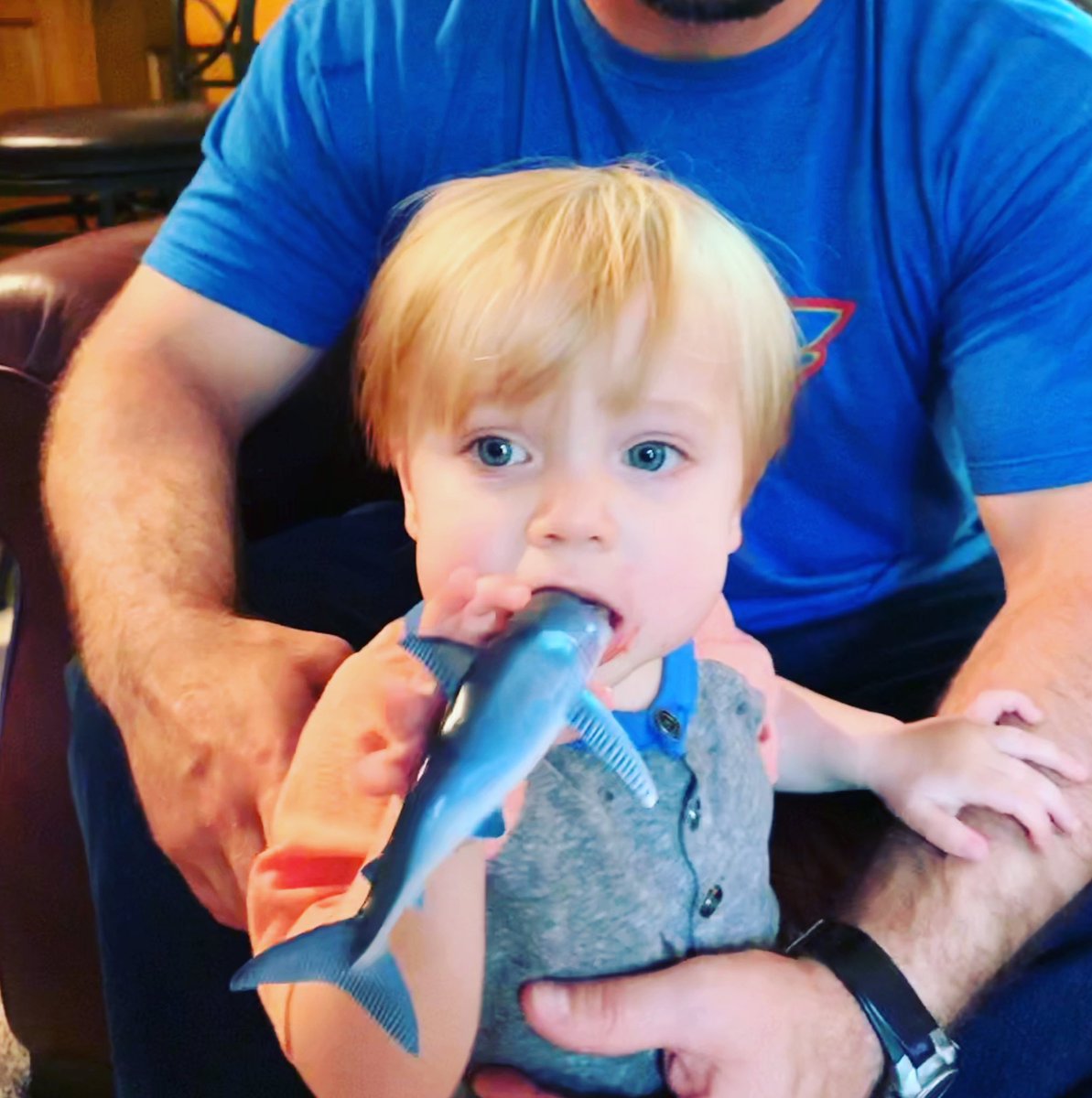 Emmett was chewing on this shark while the <a href="/StLouisBlues/">St. Louis Blues</a> were destroying theirs... #LetsGoBlues #EatTheSharks
