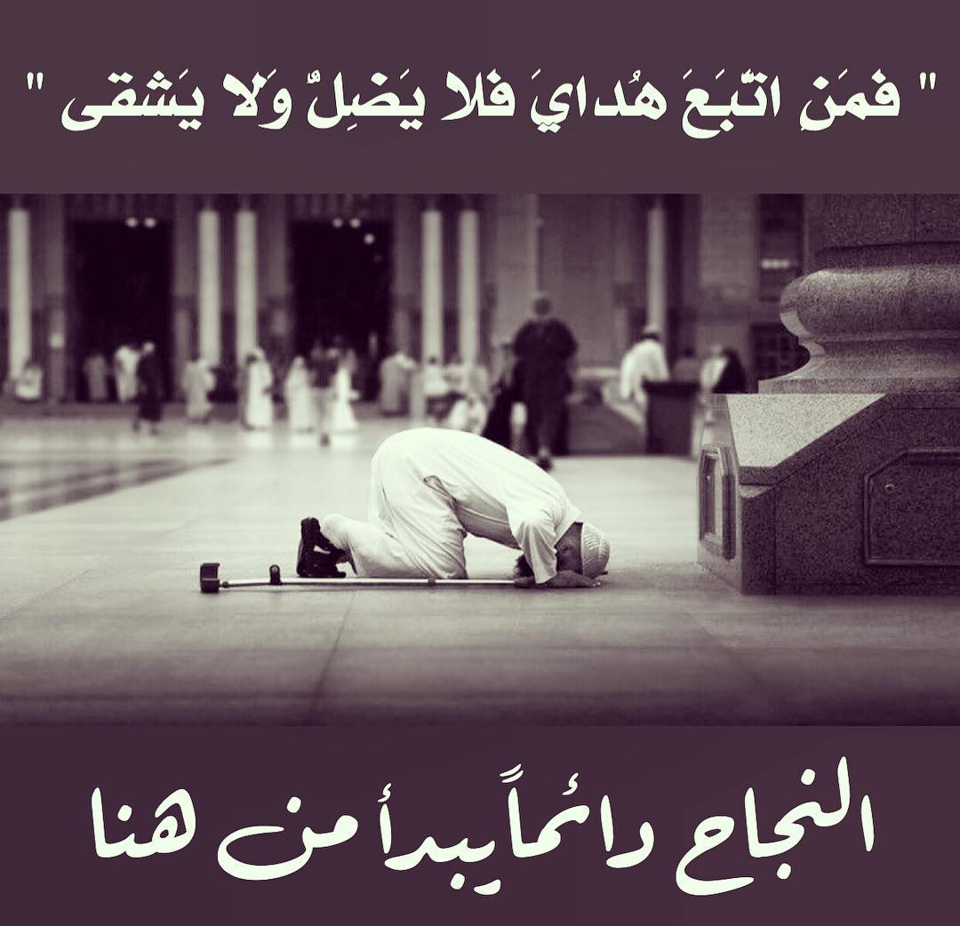 ناهض محمد الجبر tweet media