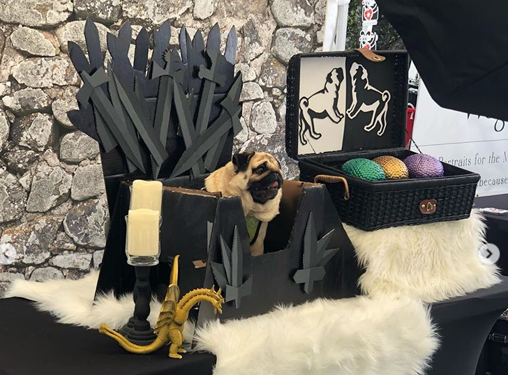 fermixalot's tweet photo. @OregonHumane and @pacificpugs Game of Thrones themed Pug Crawl is exactly the energy I needed for the finale tonight #pdxpugcrawl #gameofthrones #ProtectGhost @netw3rk @MalloryRubin https://t.co/5PVkuDz65v