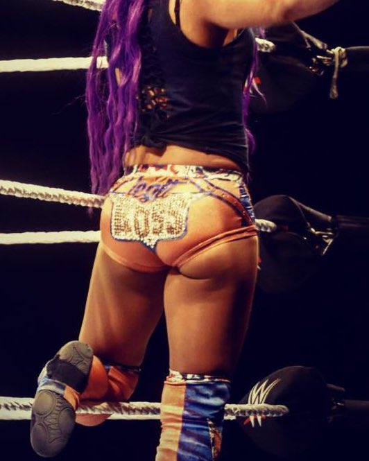 Sasha Banks' Ass. 