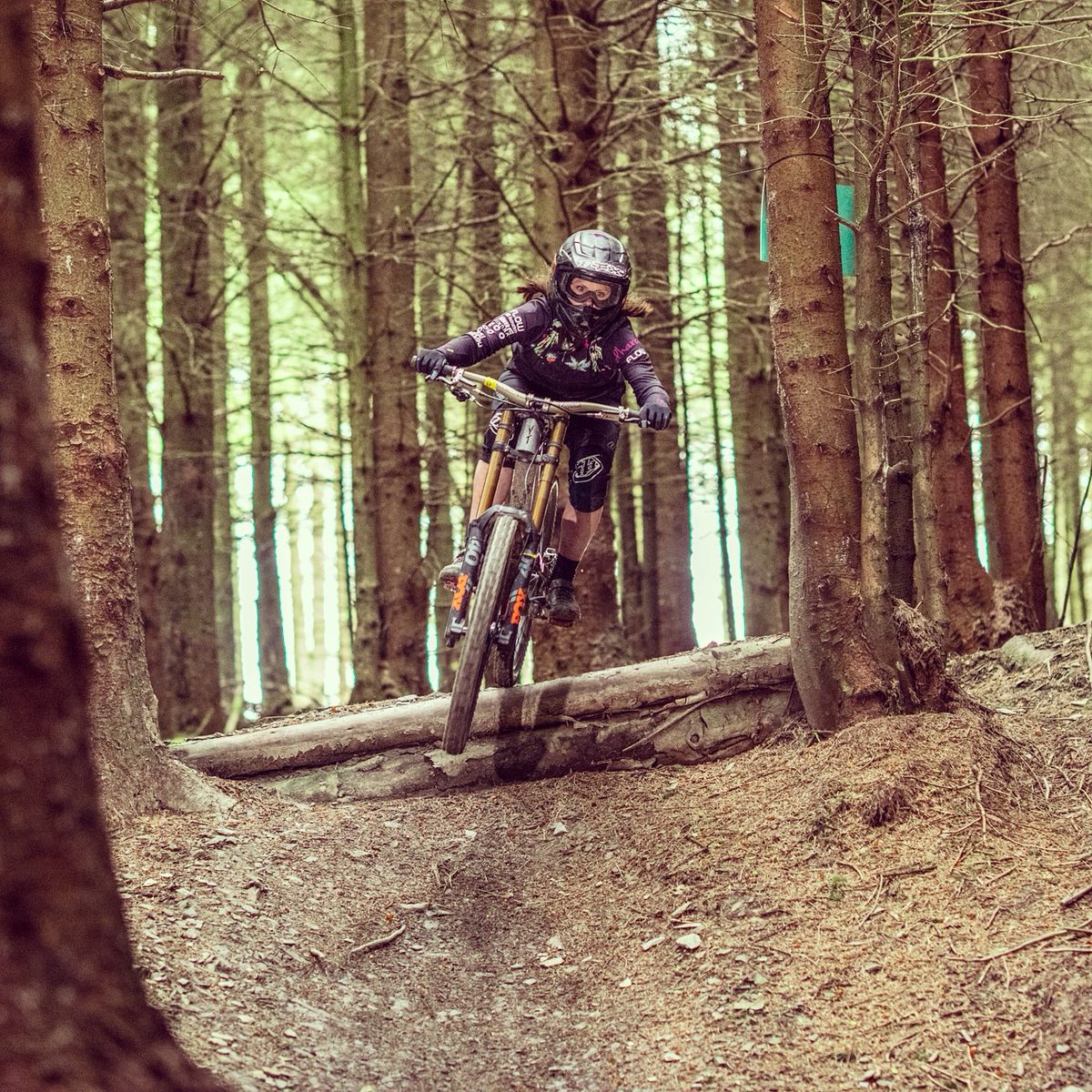 Amanda Tanfield tweet media