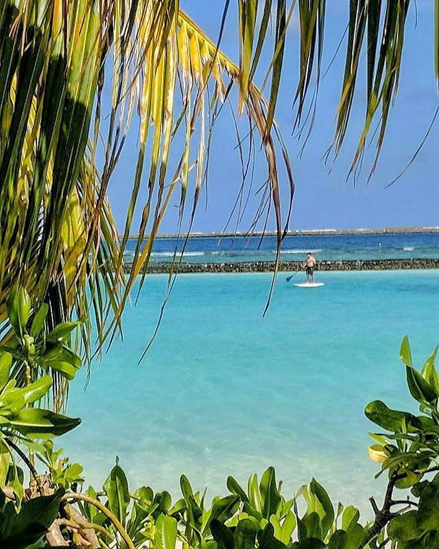 ExpatFocus's tweet photo. What is the best thing about being an expat? Exotic summer holidays, both locally and further afield such as in this 📸by @lifeinbahrain? (For a range of helpful expat articles check out our #linkinbio!)
.
.
.
#ExpatFocus #expatlife #travel #expat #gl… https://t.co/SMQpoVygCM https://t.co/IvfHbbNVoe