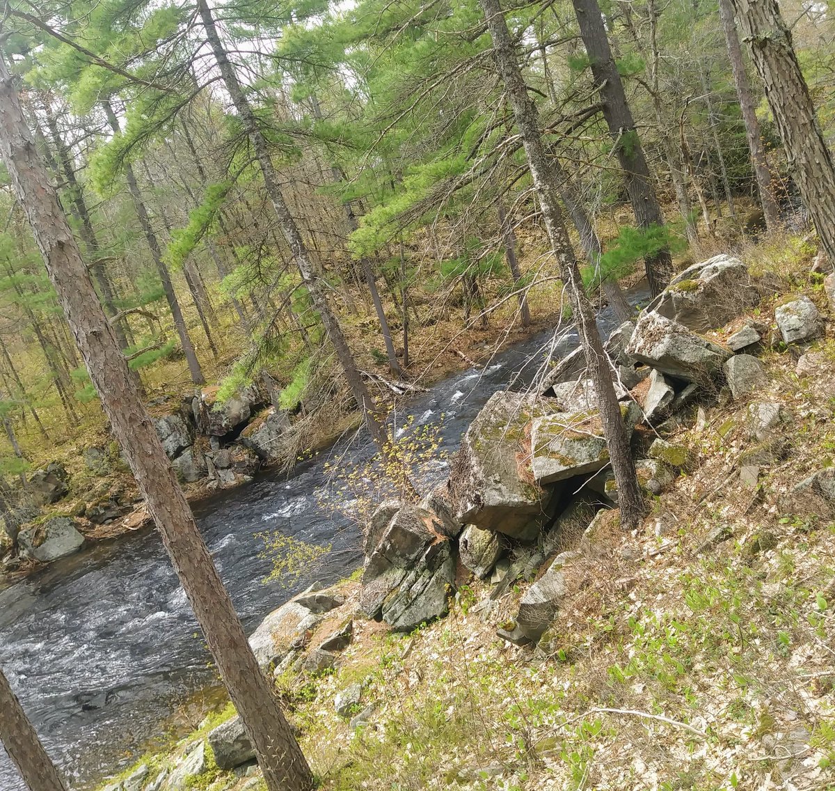 closelookdesign's tweet photo. To be cont'd. Mississaugua River at Kawartha Highlands asap #SpringFlow https://t.co/vHLkTh6RwY https://t.co/wWAnXf51UF