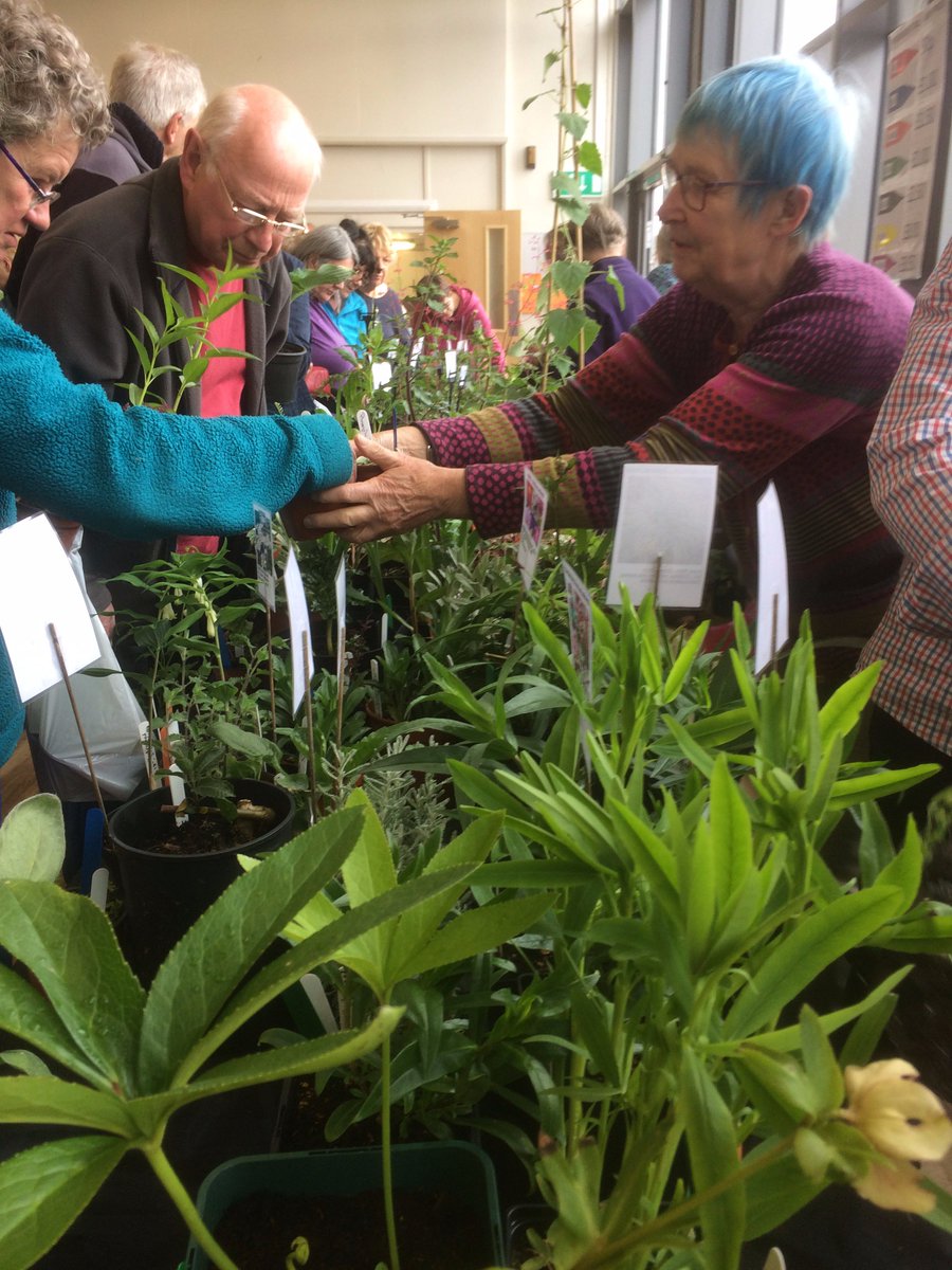 HpsClwyd's tweet photo. @HardyPlantSoc Thanks to all members and our loyal local nurseries who made our plant show such a success today https://t.co/pEbiUKLYdy