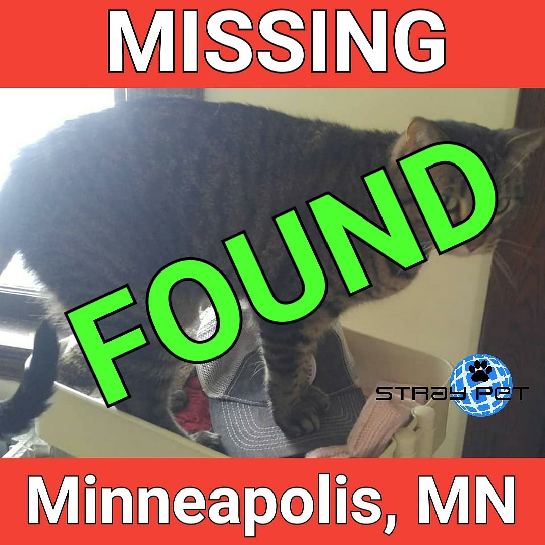 StraypetM's tweet image. Stray Pet Alert Cancelled! - Marvin has been Found! (Minneapolis, MN 55408) 
#lostpet55408 #straypet #minneapollis #lostcat #foundcat

straypet.net/stray-pet-aler…