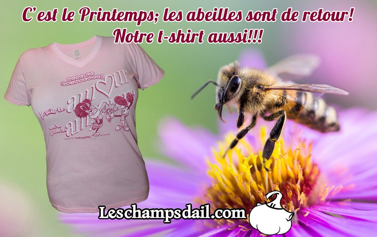 Les_champs_dail's tweet photo. C'est définitivement une fantastique journée de #printemps lorsqu'on voit les premières abeilles au travail dès le réveil... 
https://t.co/uspqxCVIaE 
#tshirts #tshirtdesign #achatlocal #écoresponsable #Quebec #bio https://t.co/pWnJCOwfW3