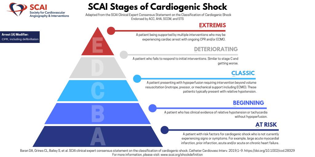 SCAI's tweet image. SCAI Releases Multi-Society Endorsed Consensus on the Classification Stages of Cardiogenic Shock bit.ly/2LQRlkx