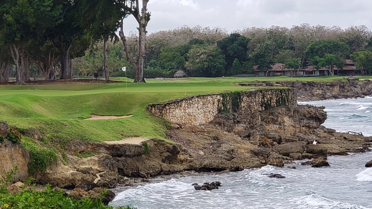 Lynette Fitzgerald tweet media