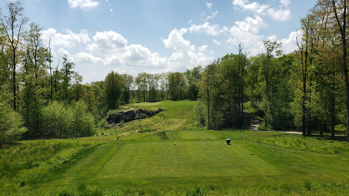 Lynette Fitzgerald tweet media