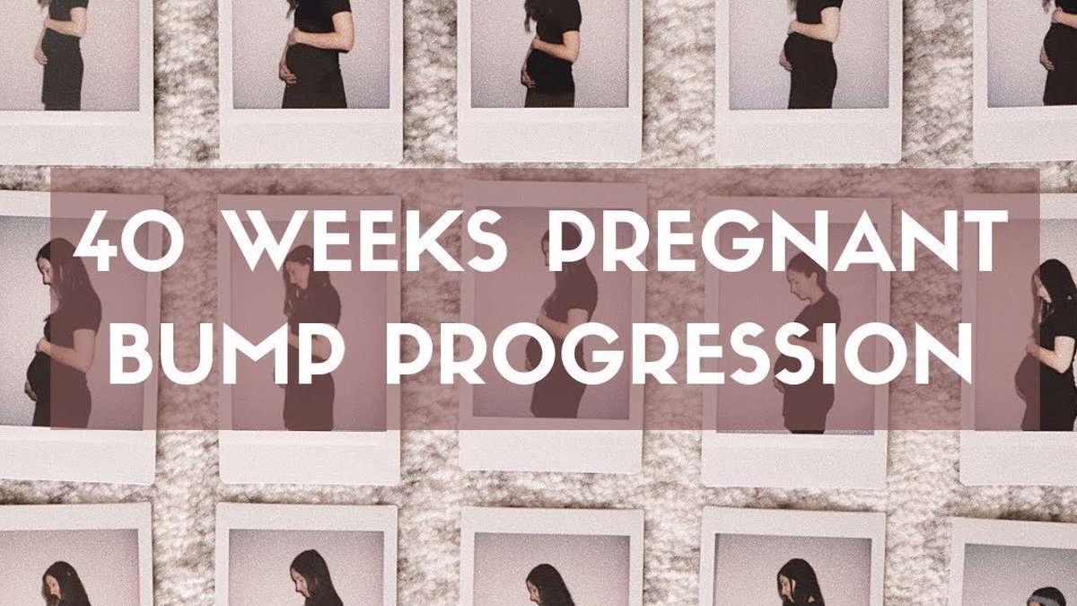 AylaandCaleb's tweet photo. Such a huge TRANSFORMATION from 8 weeks to 40 weeks pregnant! 💕
PREGNANT BUMP PROGRESSION | First Pregnancy | Watch My Belly Grow!
https://t.co/DzN5K7e26k https://t.co/FOHOM8VAi9