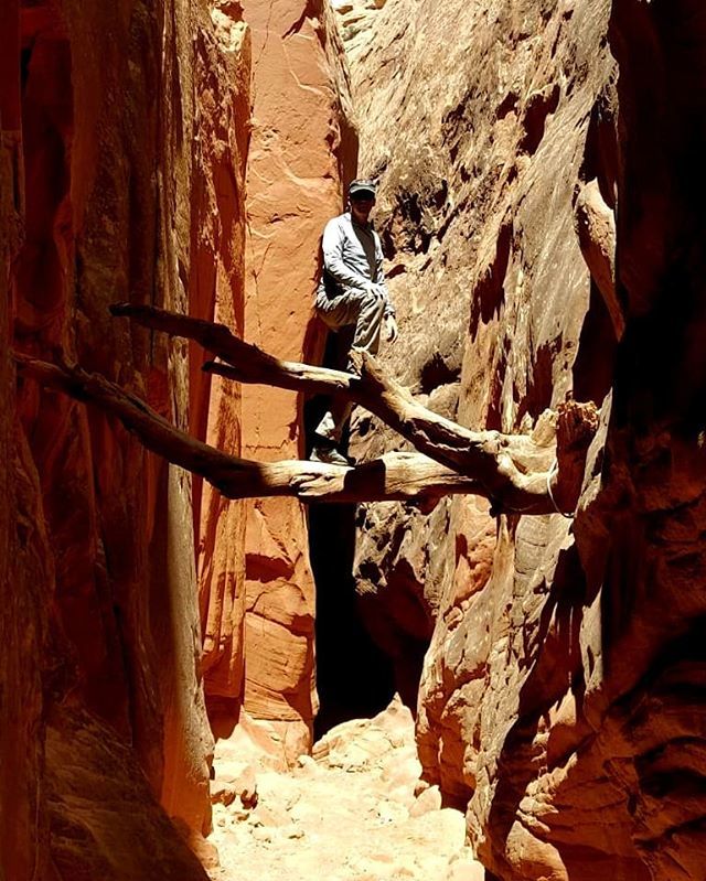 McNeill_78's tweet photo. Pam told me I couldn't get up there, I did but had a real hard time getting down. https://t.co/zYhwDmwrPF https://t.co/aWtqwflK4T