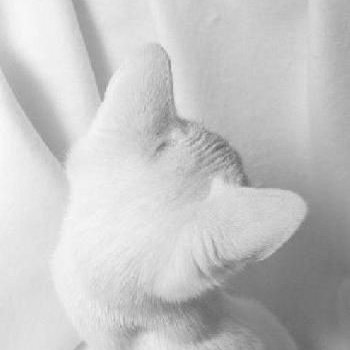 dan__vers's tweet image. ✨ buckynat au ✨

onde natasha bebe para esquecer do imprestável ex e acaba indo parar na cama do barman, o que ela não sabe é que a conexão com o rapaz é mais forte do que imaginava