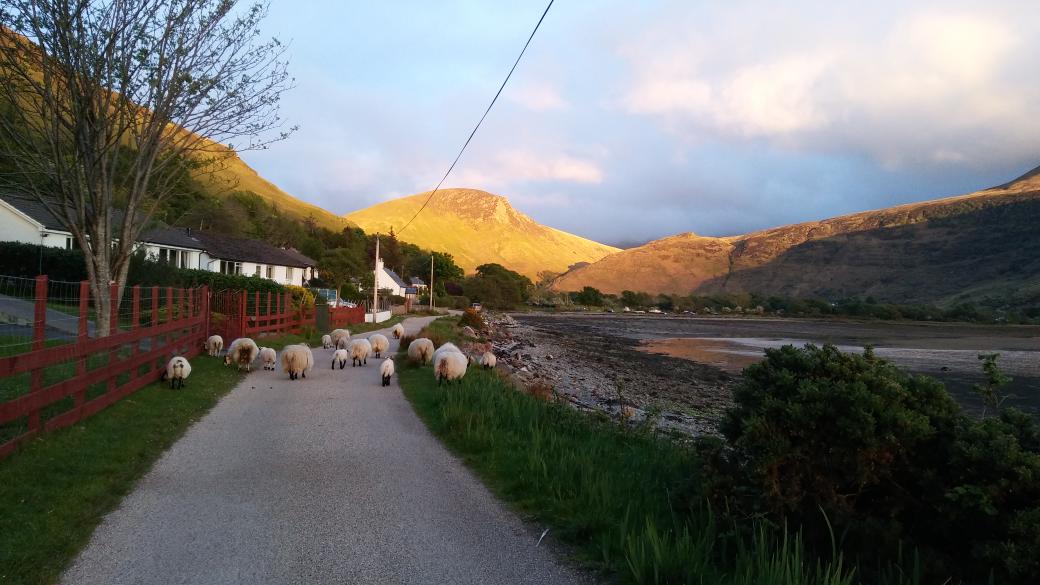 ramblesabout's tweet image. #totalgridlock in #lochranza tonight! #Arran #sunset