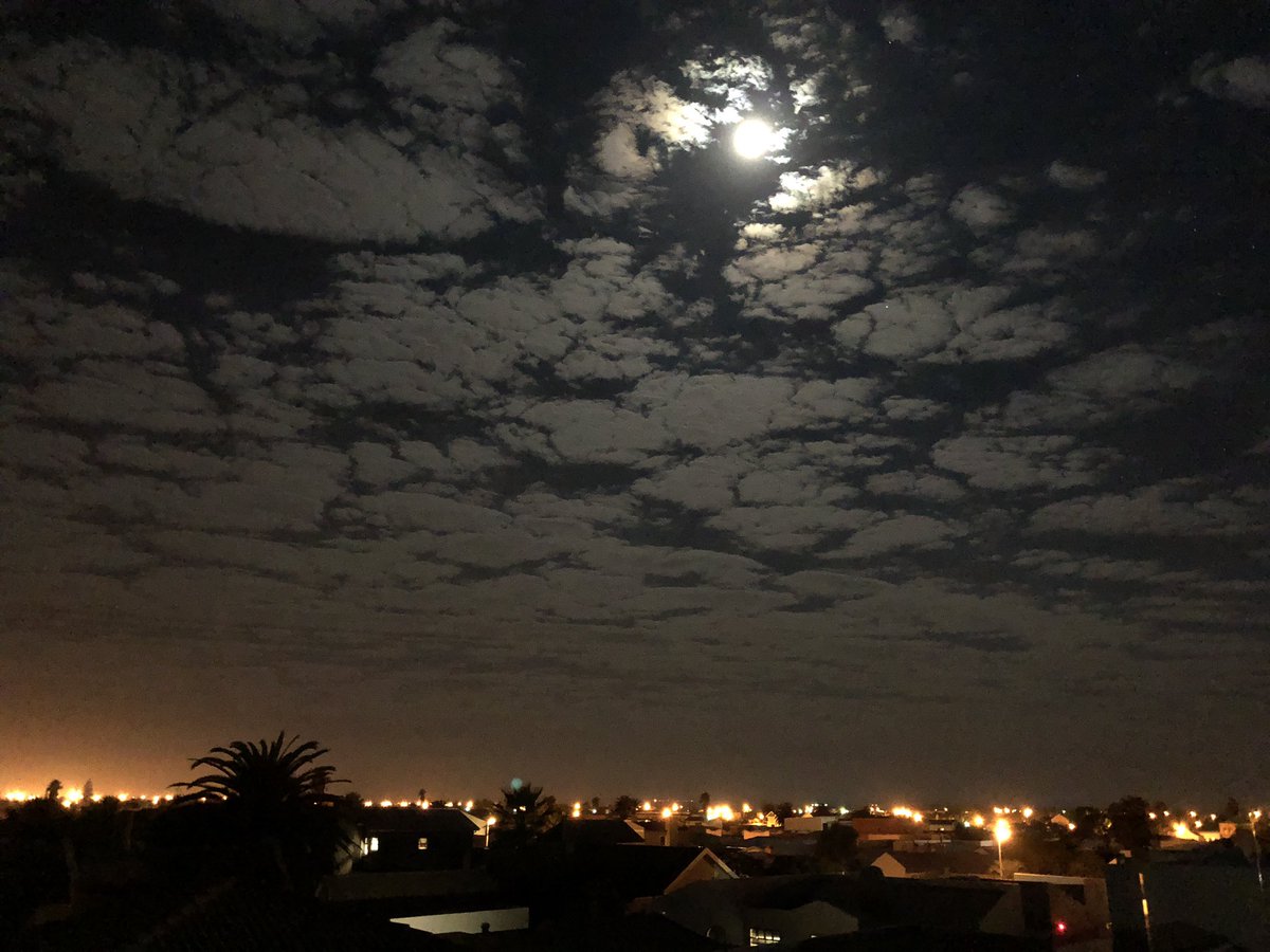 Zamudio_SA's tweet photo. Vanaand is ‘n perfekte aand in Walvisbaai......#blessedami 🤗🌸 https://t.co/wsdOmg5Pcy