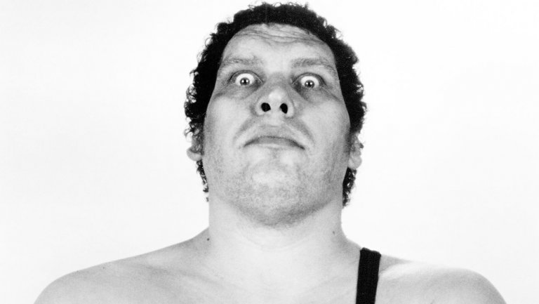 Happy 73rd Birthday To Andre the Giant  