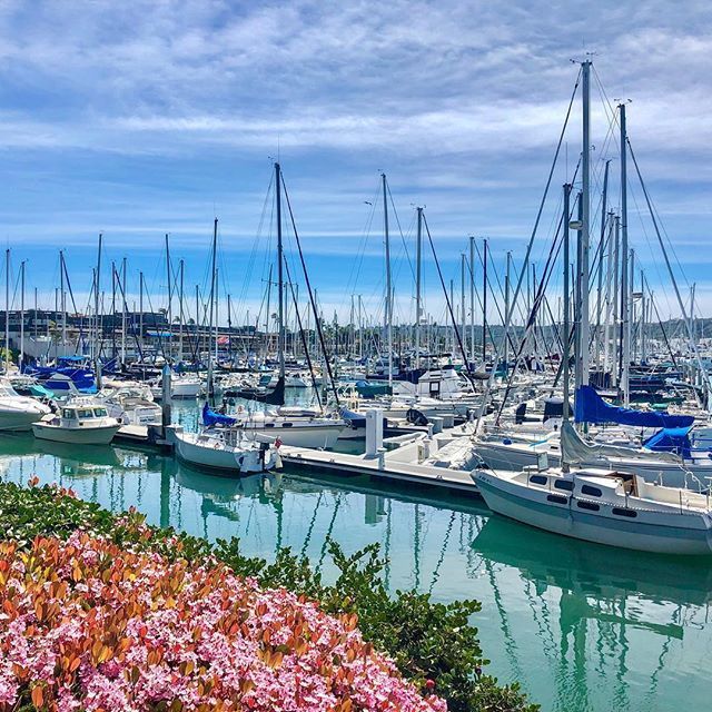 Half_Moon_Inn's tweet photo. May flowers bring sun showers. #HalfMoonInn Photo by: https://t.co/BAEJTeuMiP https://t.co/E6IGIGltcn