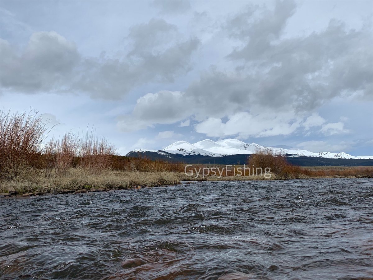 GypsyFishing's tweet photo. Successful day on the #ArkansasRiver near #Leadville. Water running super high and cold, but managed to get a pretty little #browntrout. 🎣
#keepemwet #5050onthewater #guideschool #Colorado https://t.co/EEuTbNhTI3