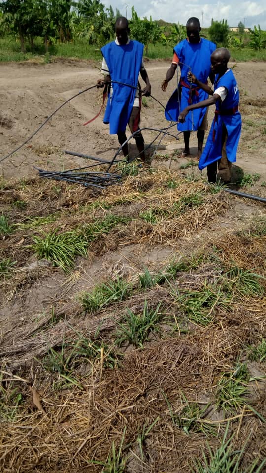 ChristaFarmBi's tweet photo. It was great to have Eric from @DelphyEN at our farm for training 🇧🇮 #Farmingtips #Burundi #farmers #agriculture #agribusiness https://t.co/igPw5iAaTC