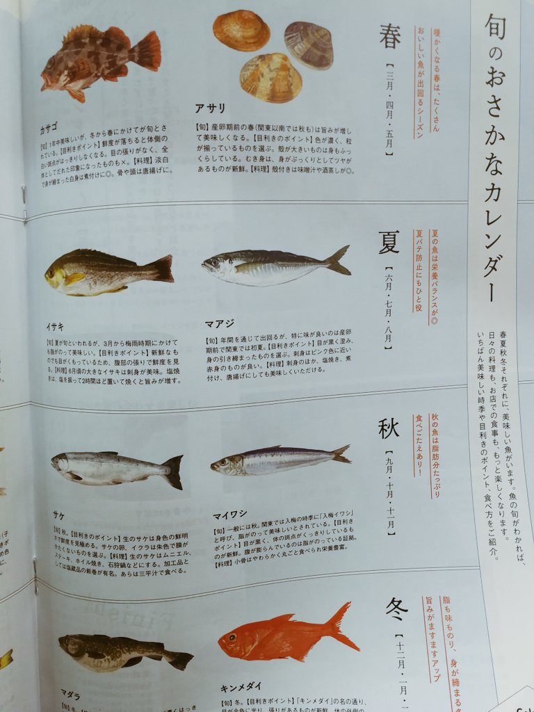 Non Salus 6月号は魚特集 アクアパッツァはやってみたいんだよねえ 旬のお魚一覧もある 今号は永久保存版ですな