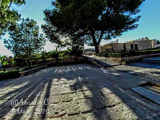 Srta_Tweet's tweet photo. Segundo Recinto
@alcazabaalmeria 
#museumweek2019 https://t.co/tQ1TyZuNtw https://t.co/Tf6JPunAaM