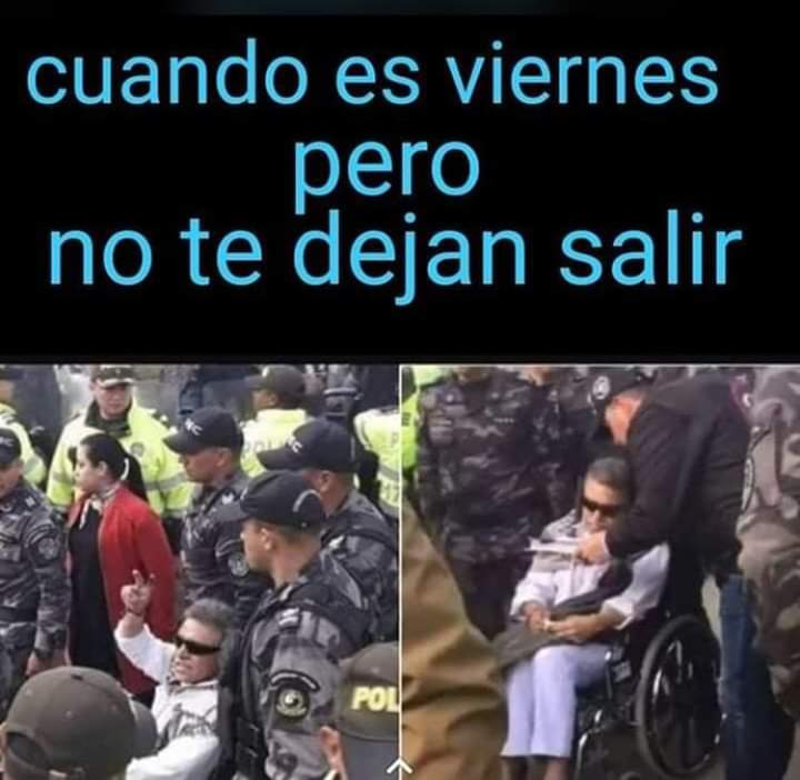 danielfgi14's tweet image. #QuizásQuizásQuizás