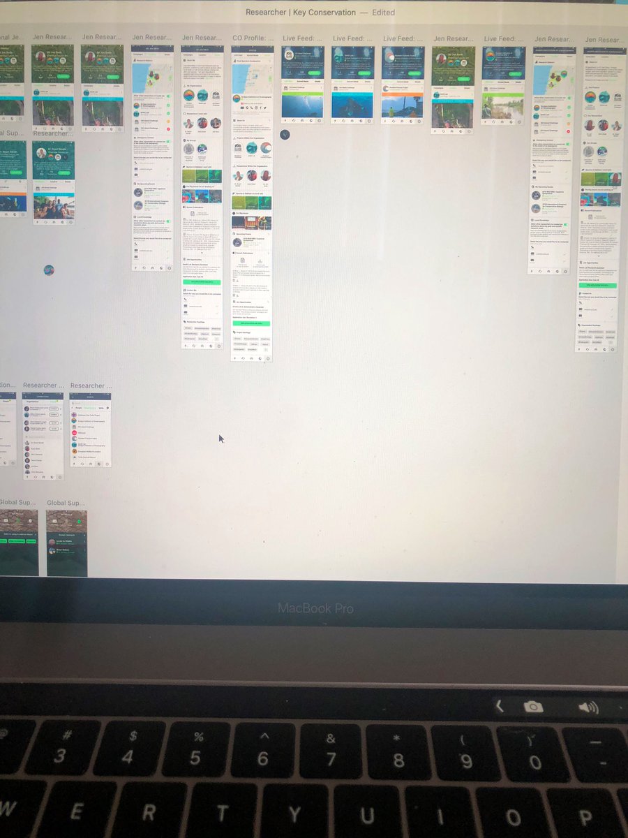 MeganCromp's tweet photo. For the past few weeks I’ve been deep in UX design mode for the @KeyConservation app. I never thought that I would become an app developer but wanting to help save species will take you on all types of paths.🤓I can’t wait to sharing these updates with you all. #KeyApp https://t.co/WuSOQ8J91k