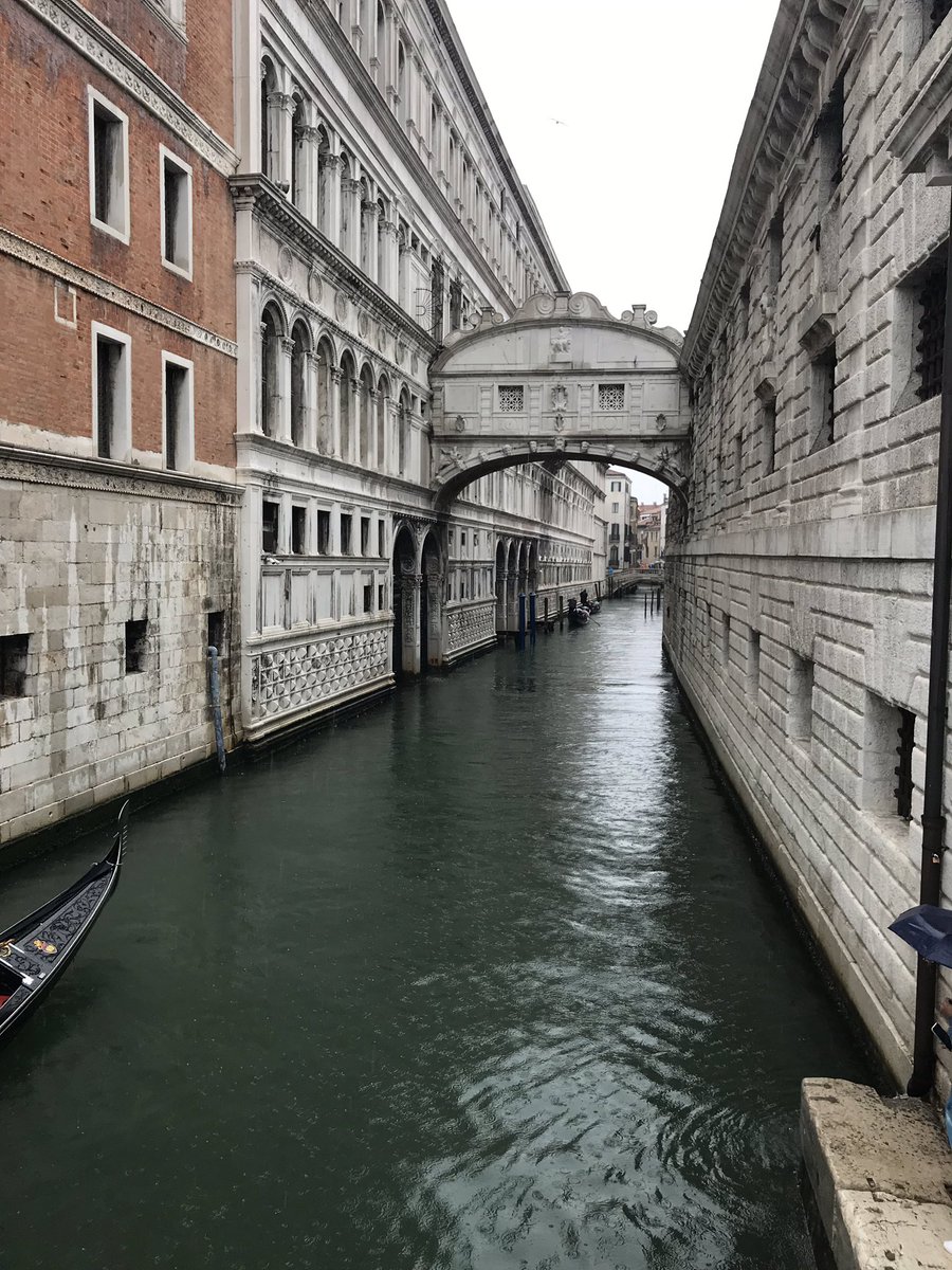 Fernando Montero tweet media