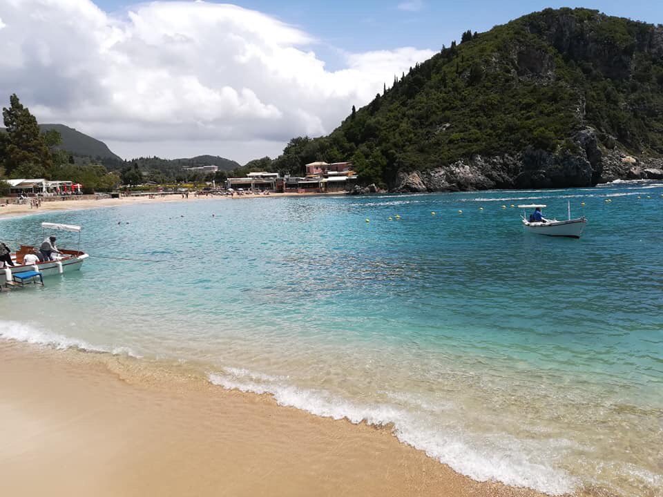 Fernando Montero tweet media