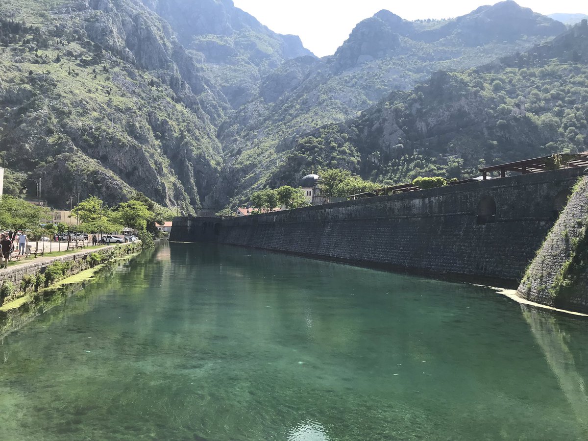 Fernando Montero tweet media