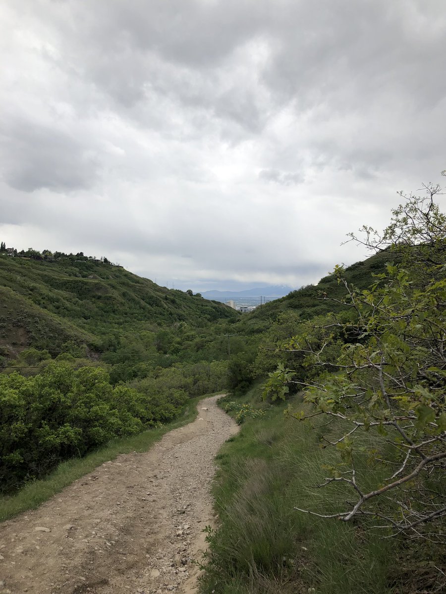 A_Bagel_Pruitt's tweet photo. Great hike to kick off #2019SFS https://t.co/esY8MPXXLY