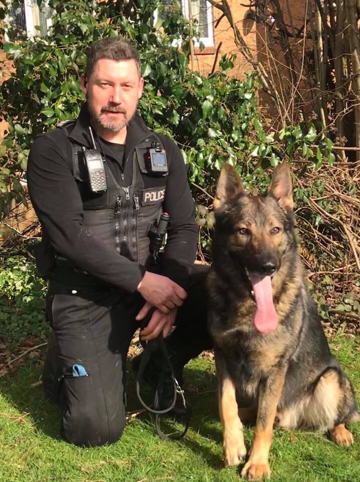 WMPDogs's tweet photo. PD Bullet is also a West Mids pup working @gpdogsection , sadly he had to withdraw from the competition, hopefully he will bounce back for next year. Welfare always comes first. #nationalpolicedogtrials https://t.co/nvzeOvEwBT