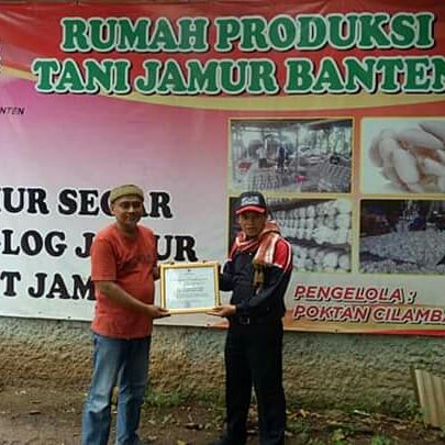 Memperkenalkan budidaya jamur, kunjungan salah satu SD islam terpadu