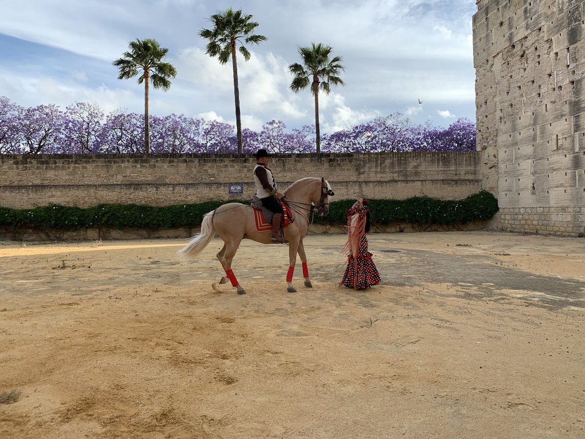 Emmanuelle_RSJ's tweet photo. Such a great time in Cadiz, Spain for the Advantage Conference! 😍 https://t.co/IiTGPFD3IG
