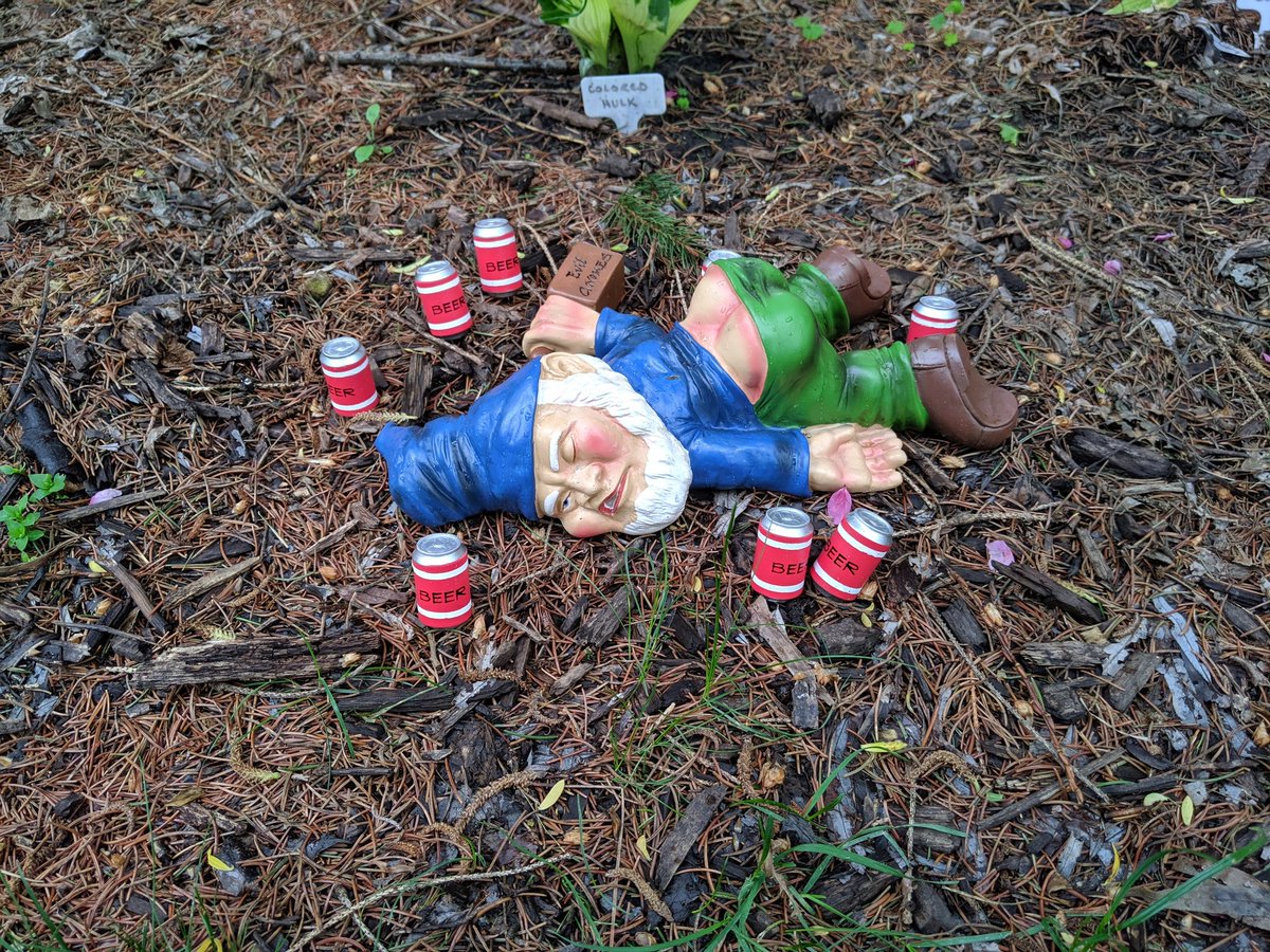 He's been like this since Friday. Hope he's ok. #gnomes #gardens