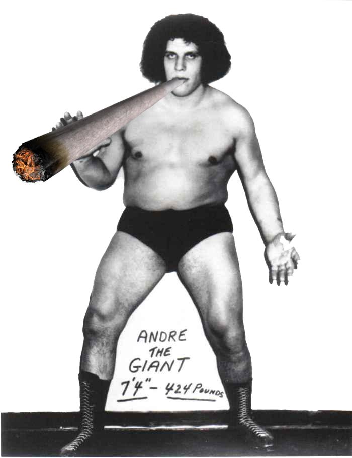 Born on this Day:
Andre the Giant ~ Happy Birthday 