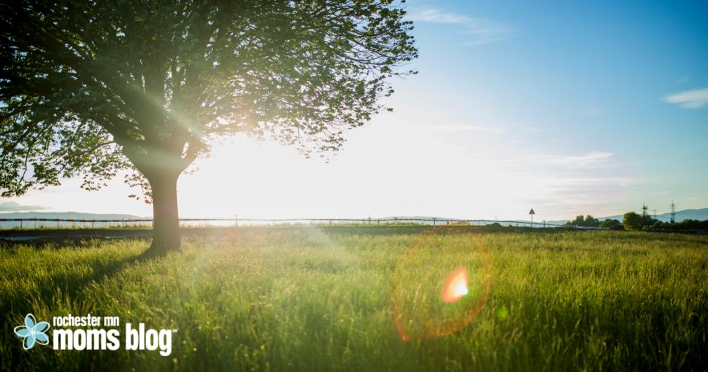 If your family is grappling with a suffocating loss, you have my utmost sympathy. It’s definitely not easy to explain to children the finality of death. But, there are ways to remember as a family. 
ow.ly/GPQ950qfPro