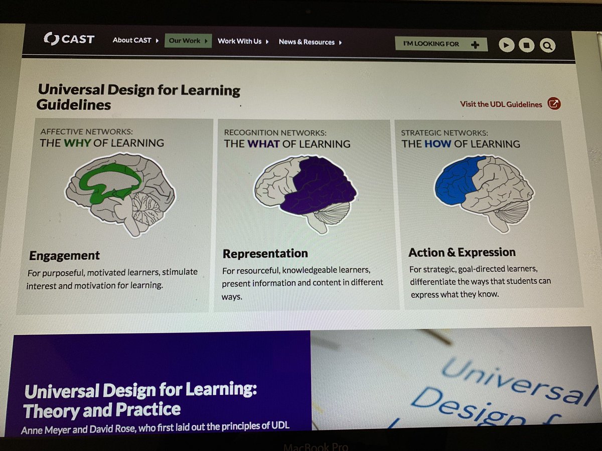 Bridgette Burtt tweet media