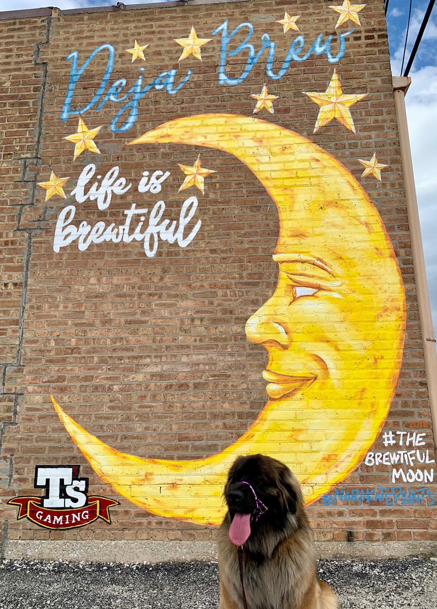 anniewinehouse's tweet image. Walks with my girl #basicaf