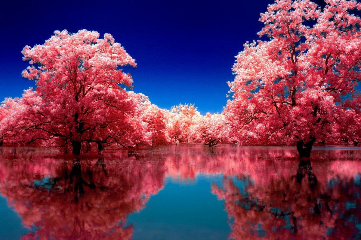 DeviantArt's tweet image. Through the clever use of a green filter, this landscape photograph transforms into something much more whimsical and fantastical.
“Open Path” by helios-spada: bit.ly/2Vwh3KV
#Photography #Landscape #Nature