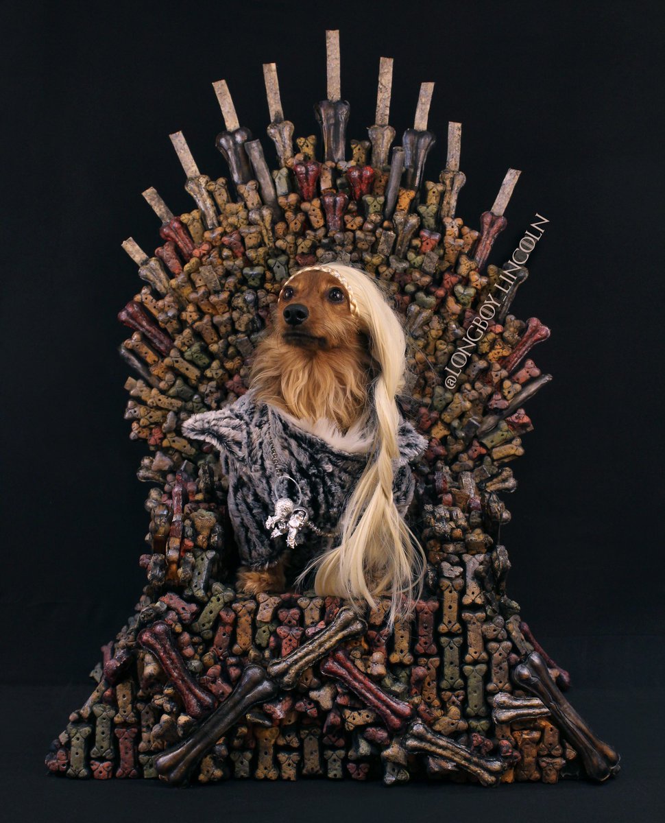 longboy_lincoln's tweet photo. Daenerys Tail-garyen. Mother of Dachshunds, First of her Name, Breaker of Collars, the Unbarked, Protector of the 7 Kingdoms and the Mad Qween 👑🐉🏰🔥
#gameofthronesseason8 #madqueen #daenerystargaryen #GamefThrones #TheFinalEpisode @GameOfThrones #GameOfThronesFinale https://t.co/oCuspuMpy3